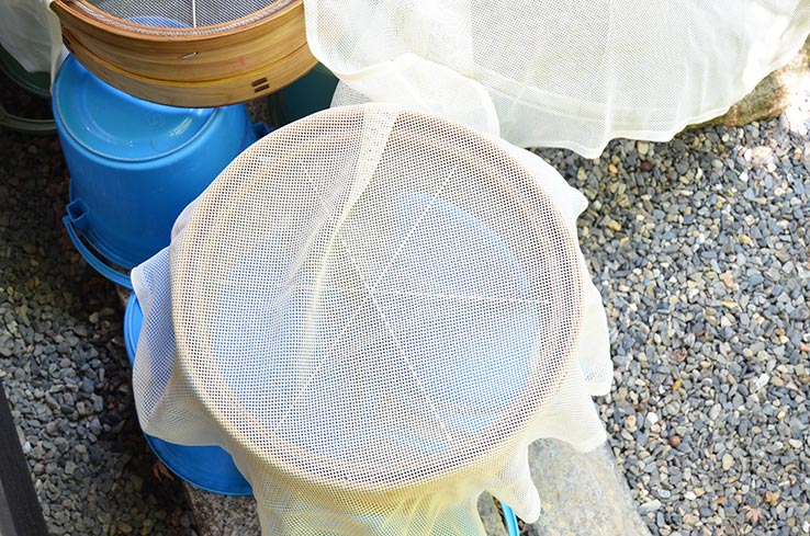 麹づくりワークショップ